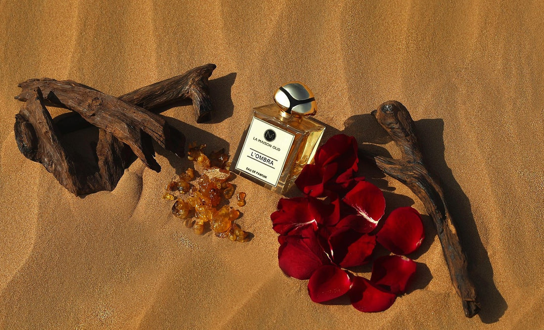 L'OMBRA - La Maison Oud